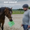 Ervaringsleren met paarden Ervaringsleren met paarden