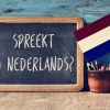 Inburgeringsgedoe staat integratie in de weg Inburgeringsgedoe staat integratie in de weg