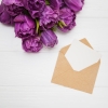Velsen kiest 'Straat van de maand' Velsen kiest 'Straat van de maand'