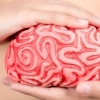 14 miljoen euro voor grootschalig onderzoek naar autisme en darmproblemen 14 miljoen euro voor grootschalig onderzoek naar autisme en darmproblemen