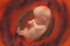 Nieuwe ethische richtlijnen nodig voor embryo-onderzoek