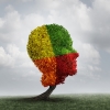 ADHD bij volwassenen toont vele gezichten ADHD bij volwassenen toont vele gezichten