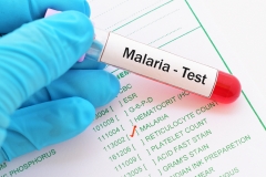 Strijd tegen malaria in nieuwe fase beland