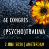 Trauma en persoonlijkheidsproblematiek Trauma en persoonlijkheidsproblematiek