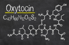 Oxytocine vermindert angst en stress bij PTSS