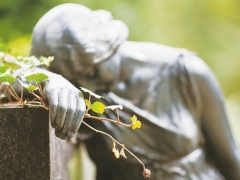 Onderzoek Vumc: 86% Nederlanders wil zeggenschap over eigen levenseinde Onderzoek Vumc: 86% Nederlanders wil zeggenschap over eigen levenseinde
