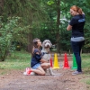post-hbo opleiding Therapie met inzet van dieren post-hbo opleiding Therapie met inzet van dieren