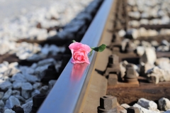 World Suicide Prevention Day | Op zoek naar woorden