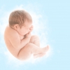 Verband tussen foetale oestrogenen en autisme Verband tussen foetale oestrogenen en autisme