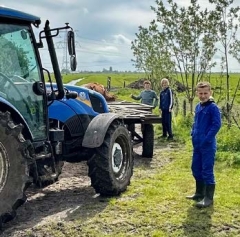 De magie van buitenspelen op de boerderij