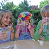 De geheimen van thee (activiteit voor 5-12 jaar) De geheimen van thee (activiteit voor 5-12 jaar)