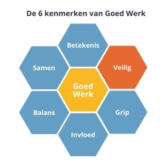 Dimensies van Goed Werk: veilig