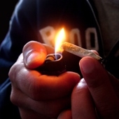 Cannabis verandert brein en verhoogt risico op schizofrenie