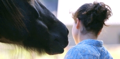 Spiegel van Eva Sjerps: paardencoaching voor jongeren met problemen