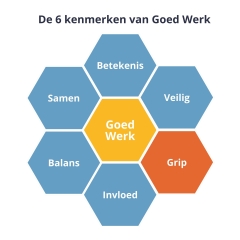 Dimensies van Goed Werk: grip