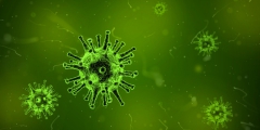 Vragen & antwoorden nieuw coronavirus (COVID-19)